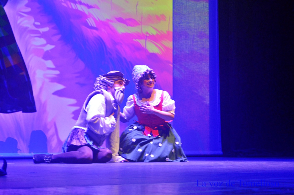 ob.imagen.Descripcion