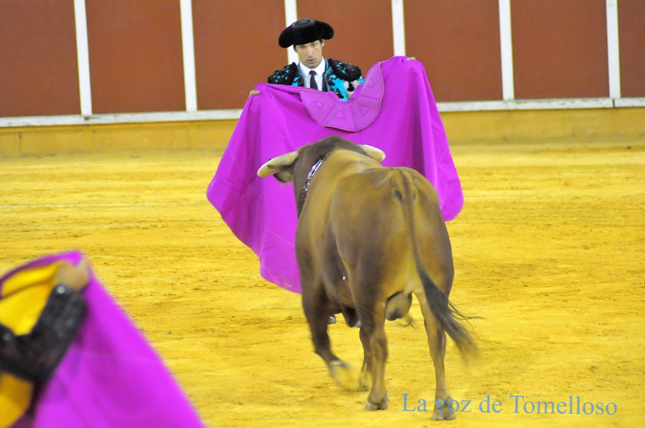 ob.imagen.Descripcion