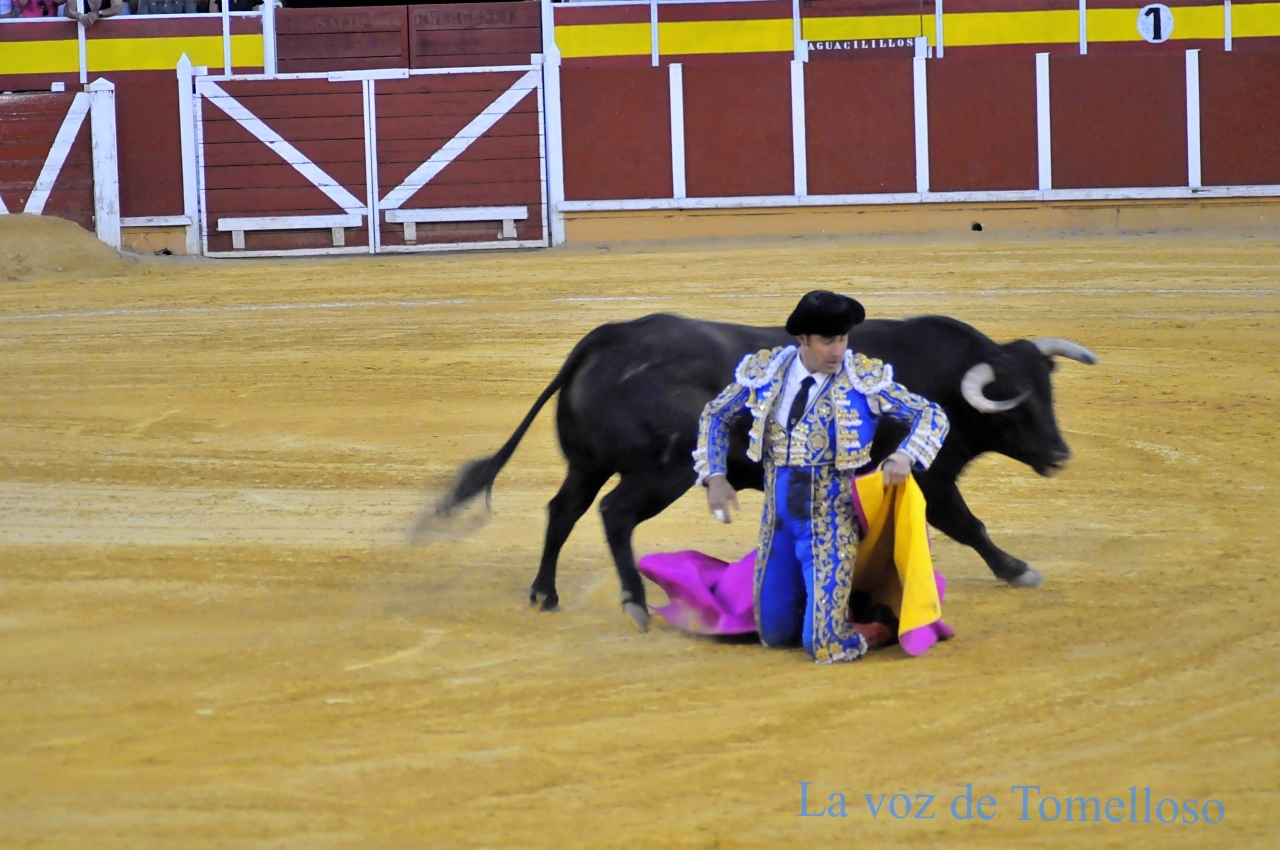 ob.imagen.Descripcion