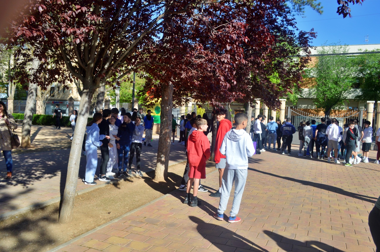 ob.imagen.Descripcion