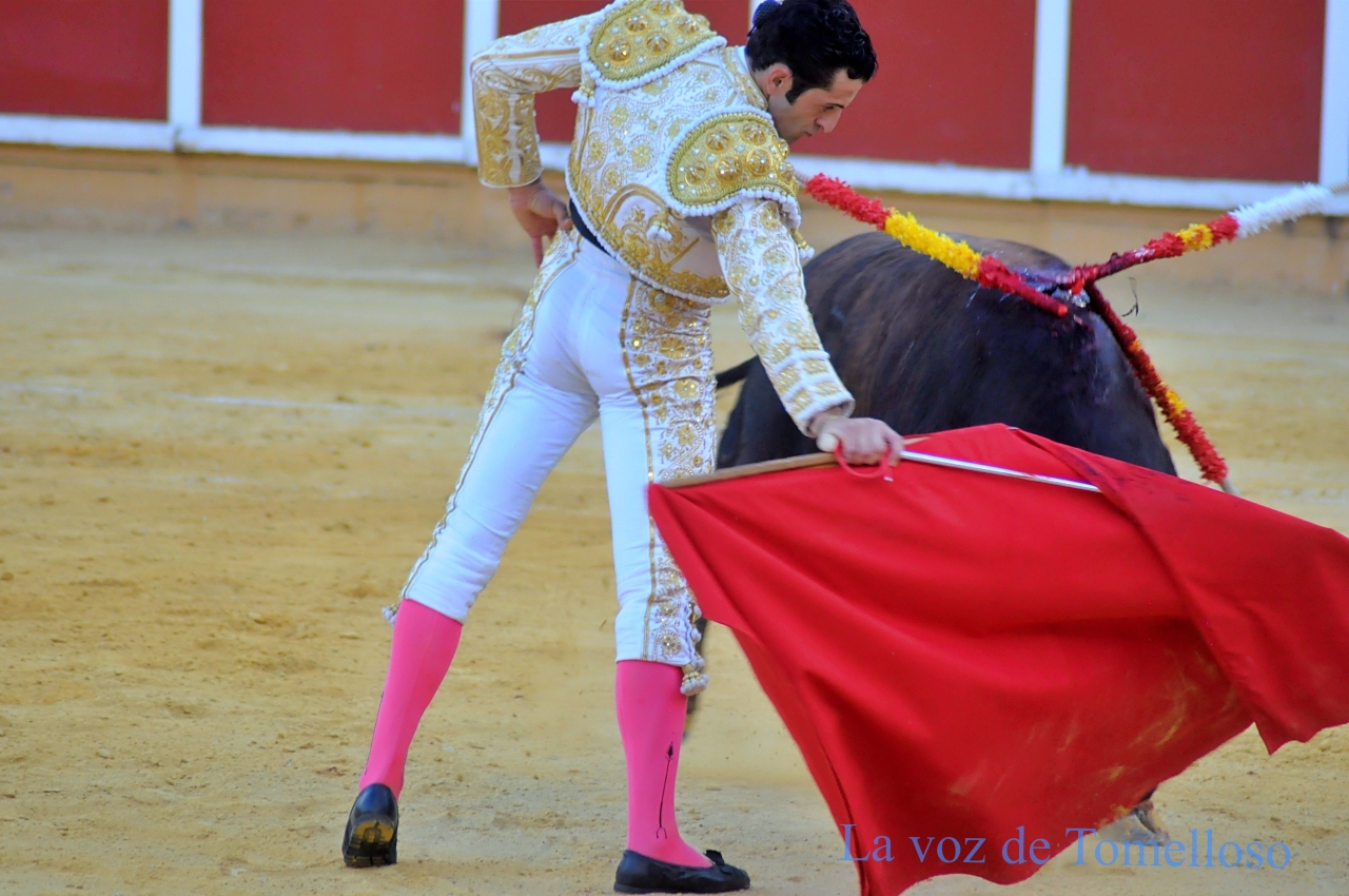 ob.imagen.Descripcion