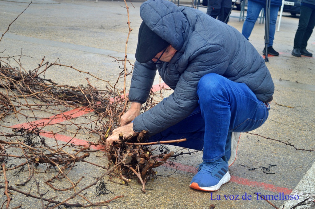 ob.imagen.Descripcion