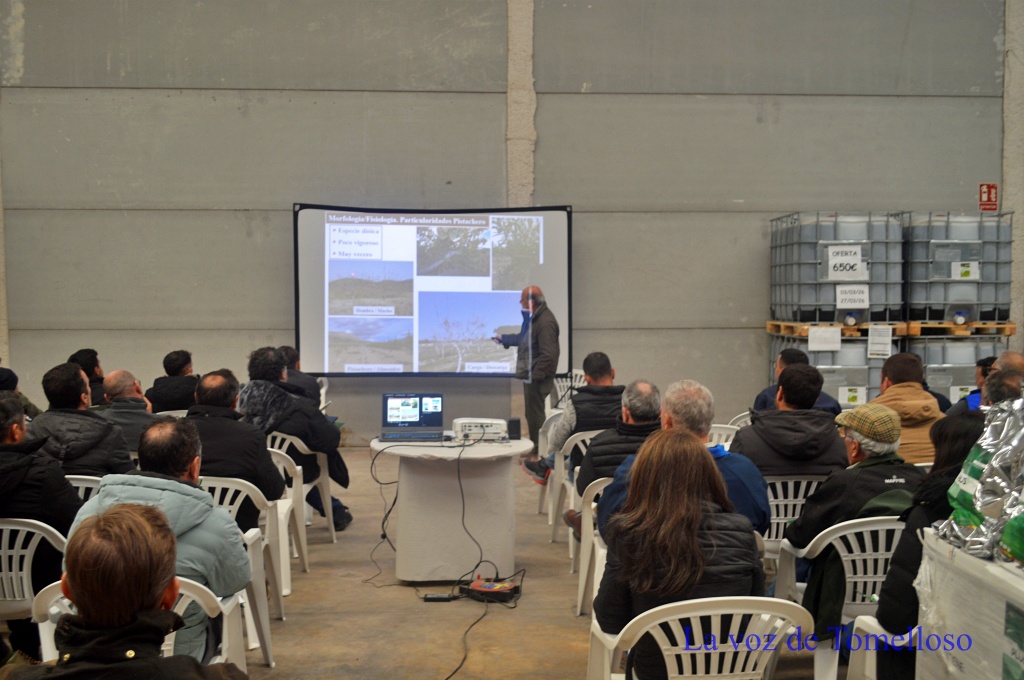 ob.imagen.Descripcion