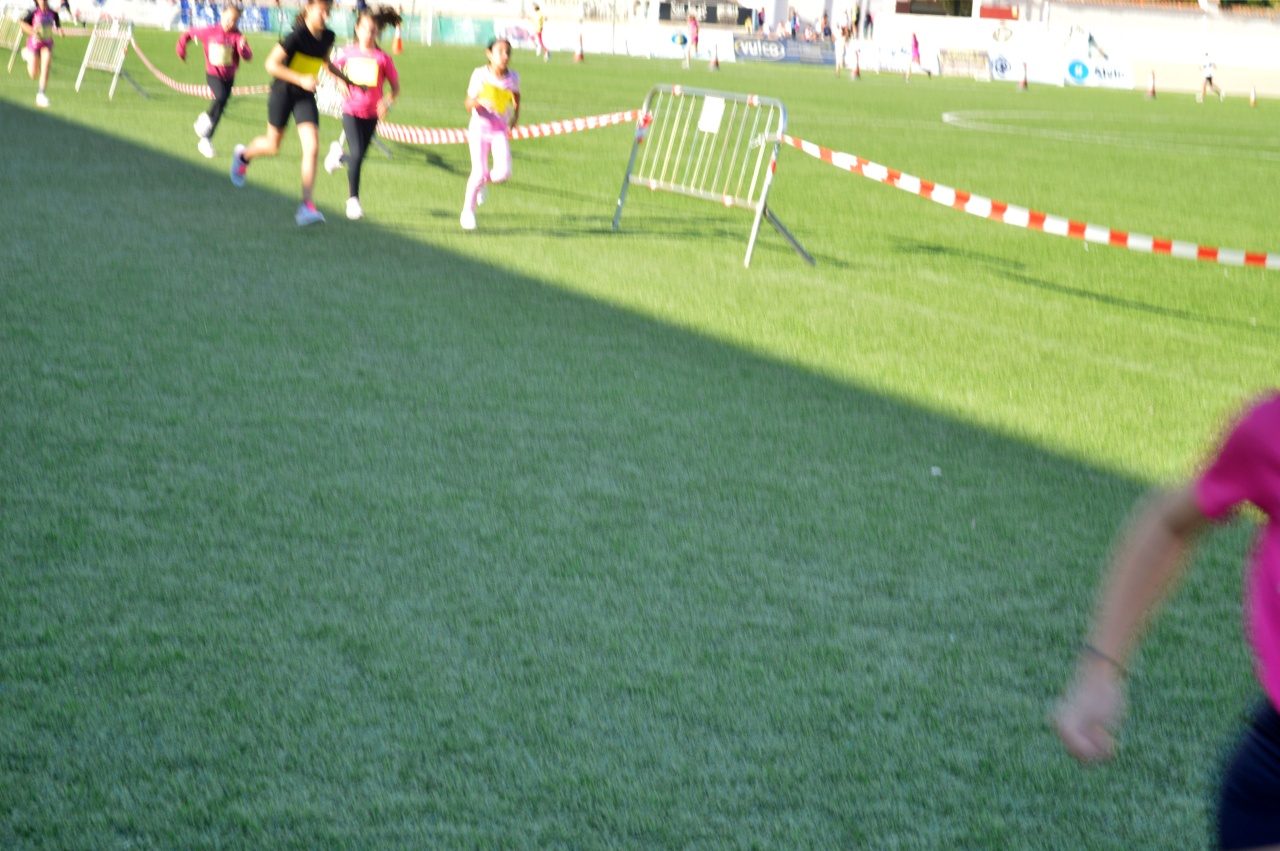 ob.imagen.Descripcion