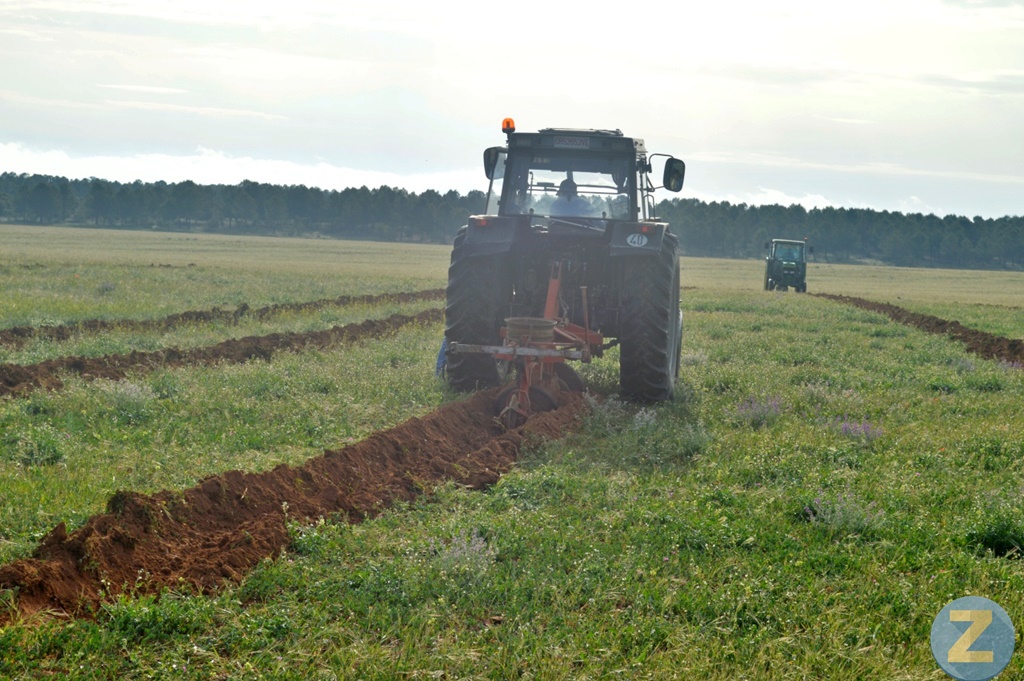 ob.imagen.Descripcion