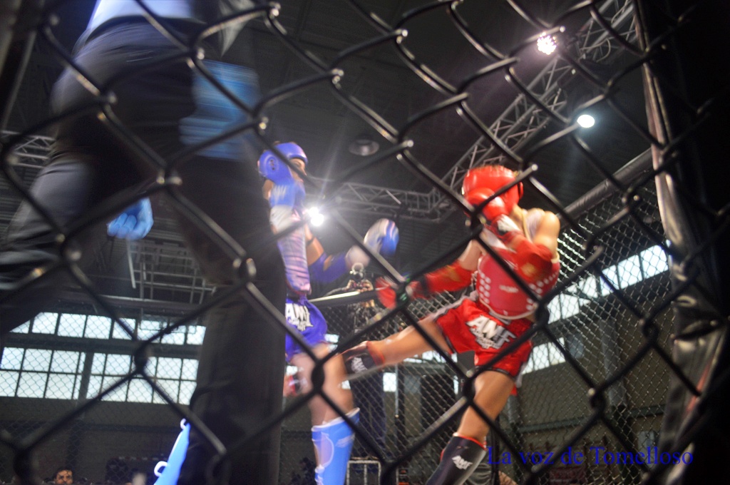 ob.imagen.Descripcion