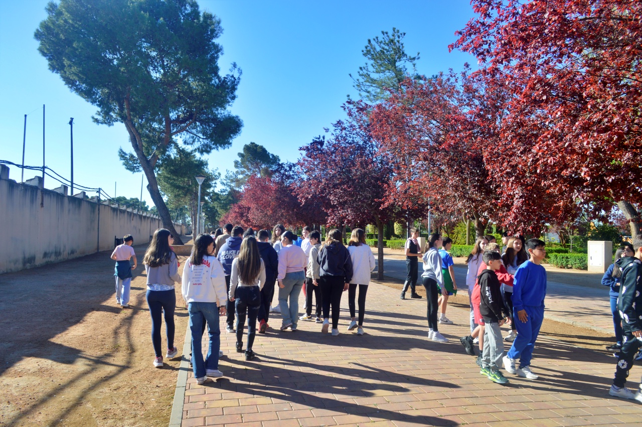 ob.imagen.Descripcion